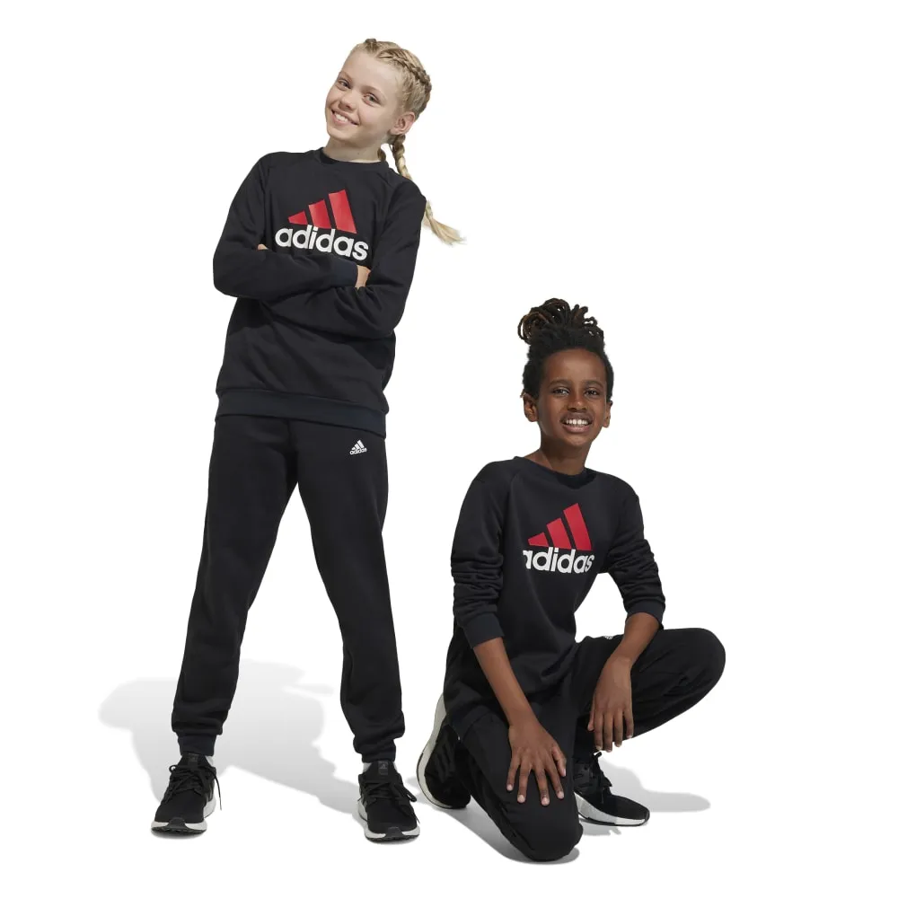 adidas Essentials Big Logo Fleece Kid's Tracksuits