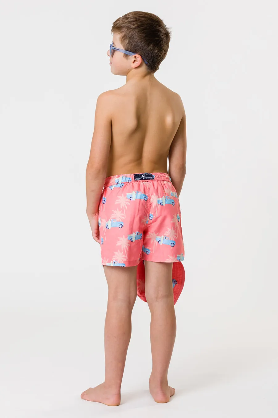 Boys Swim Snapper Rock Sunset Cruising Volley Board Shorts