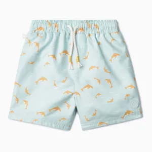 Dolphin Board Shorts