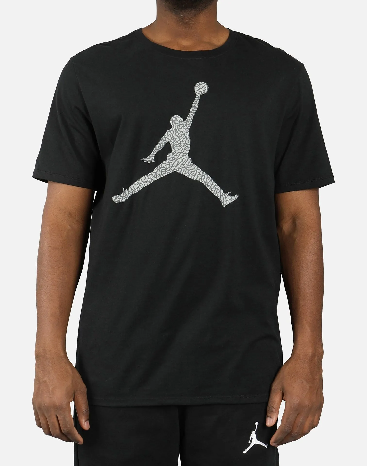 Jordan JSW JUMPMAN ELEPHANT PRINT FILL TEE