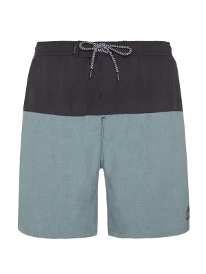 Protest PRTBOYDIN Men's Swim Shorts - Arctic Green