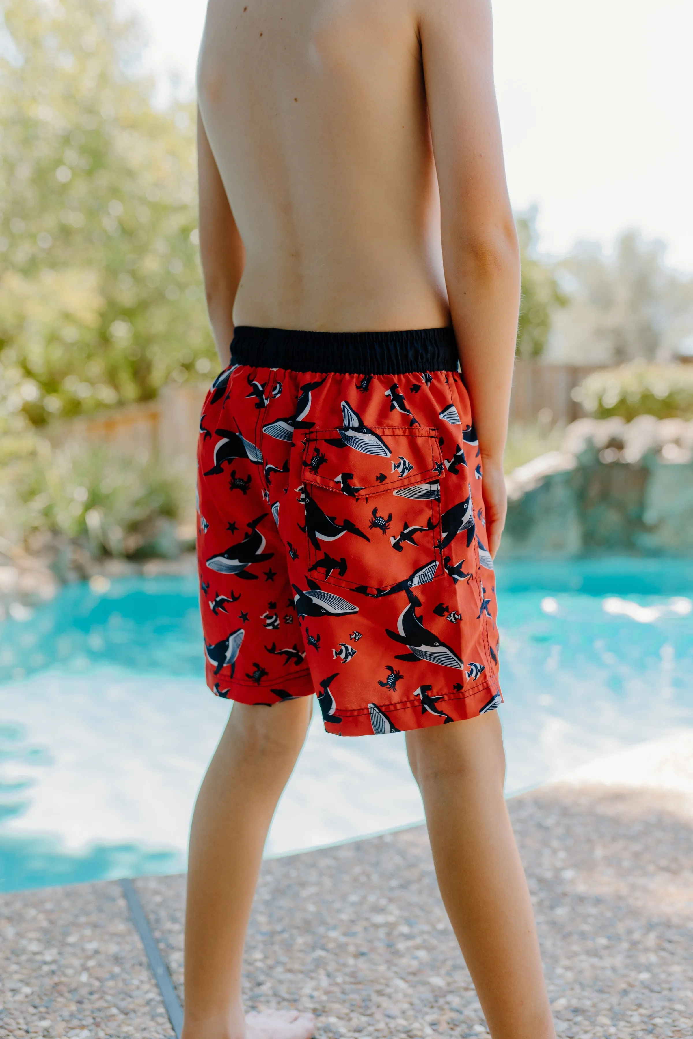 Toddler Board Shorts